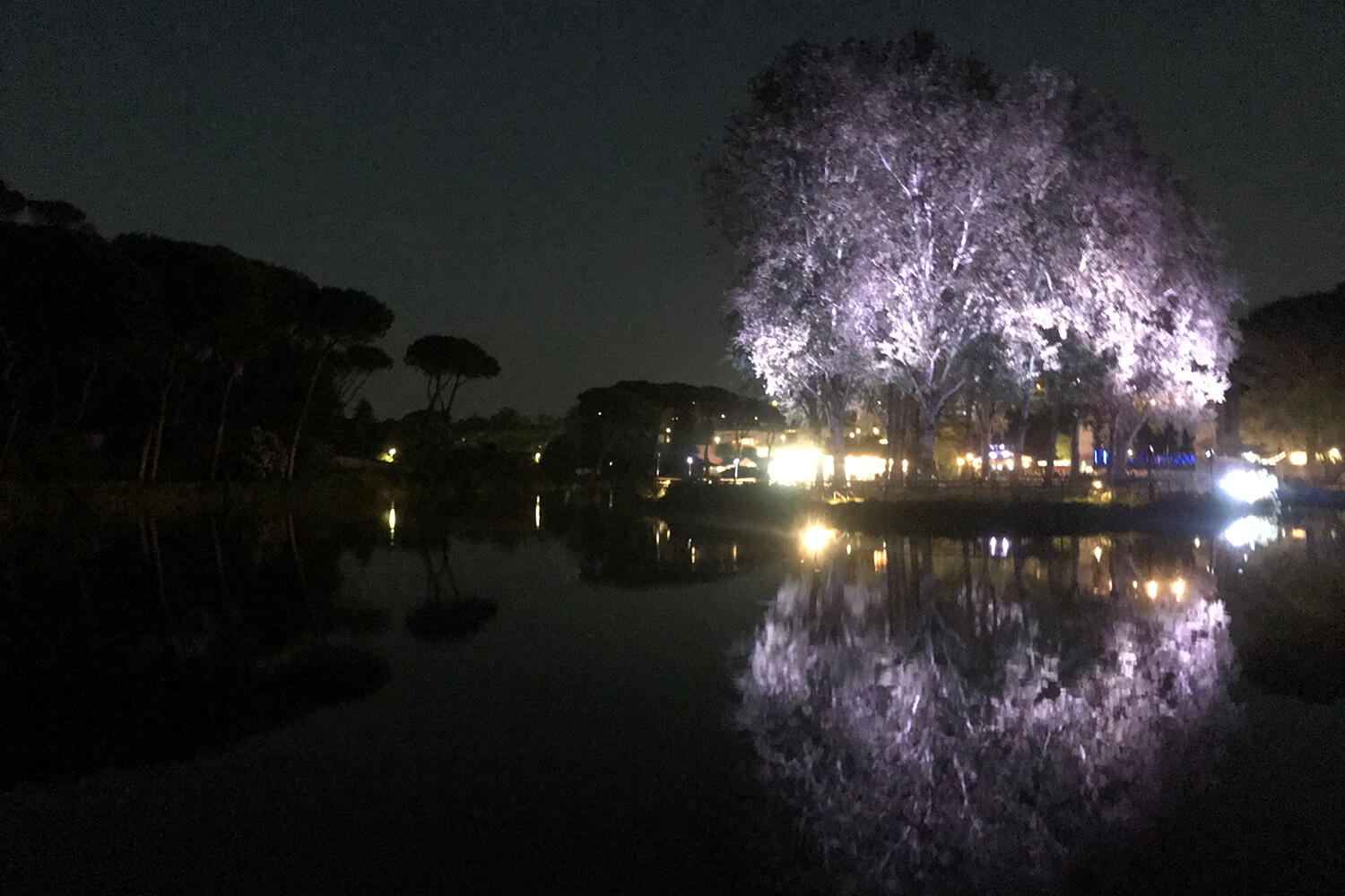 Burningmax: Breathe | Art installation | Villa Ada lake, Rome Italy | Installation details