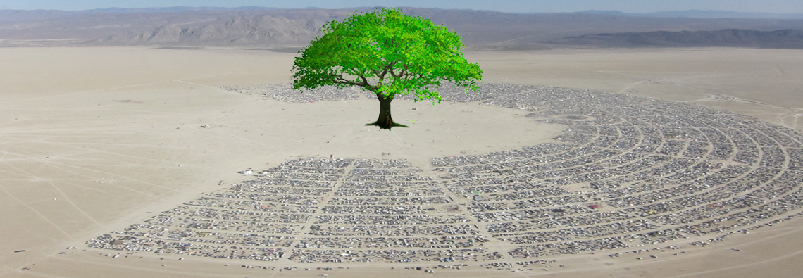 FrenchCORE-Burningman-carbonfootprint-plant-trees