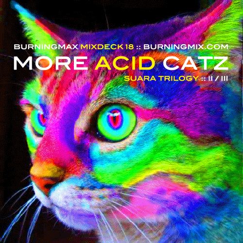 Burningmix 18 :: More Acid Catz (Suara 2 of 3)