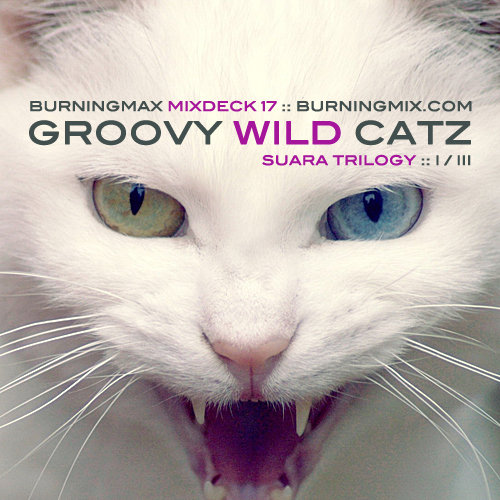 Burningmix 17 :: Groovy Wild Catz (Suara 1 of 3)