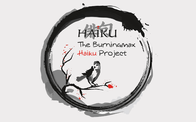 Buningmax special projects :: The Burningmax Haiku Project