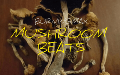 Burningmax Presents – Mushroom Beats