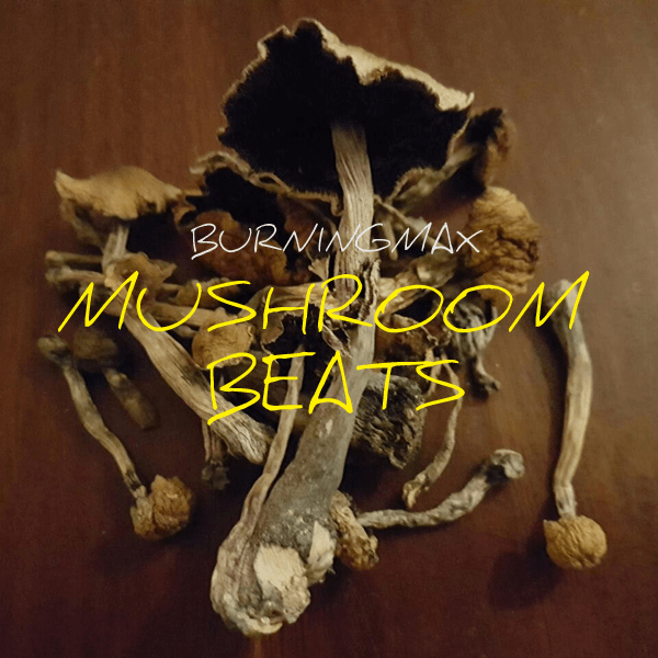 Burningmax Presents – Mushroom Beats